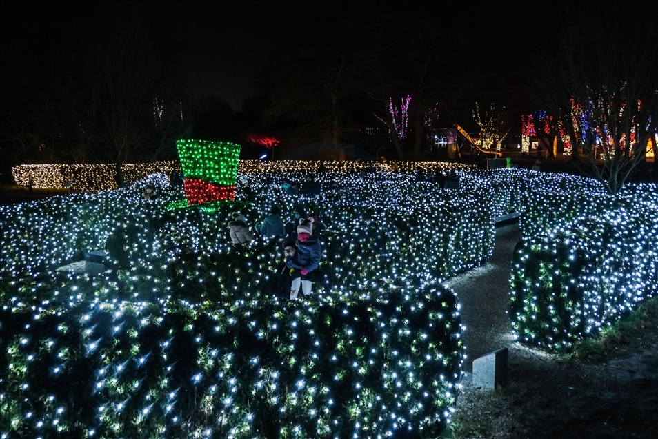 Alice in the Wonderland light show in Krakow