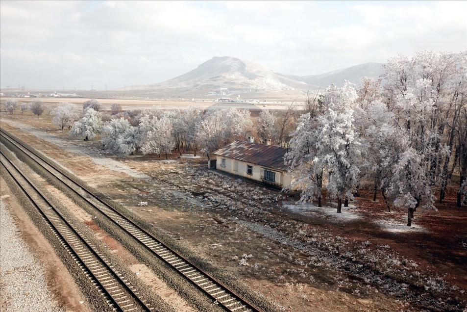 Hielo y escarcha cubren algunas plantas y árboles en la provincia turca de Bitlis