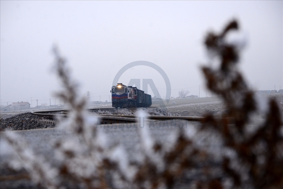 Hielo y escarcha cubren algunas plantas y árboles en la provincia turca de Bitlis