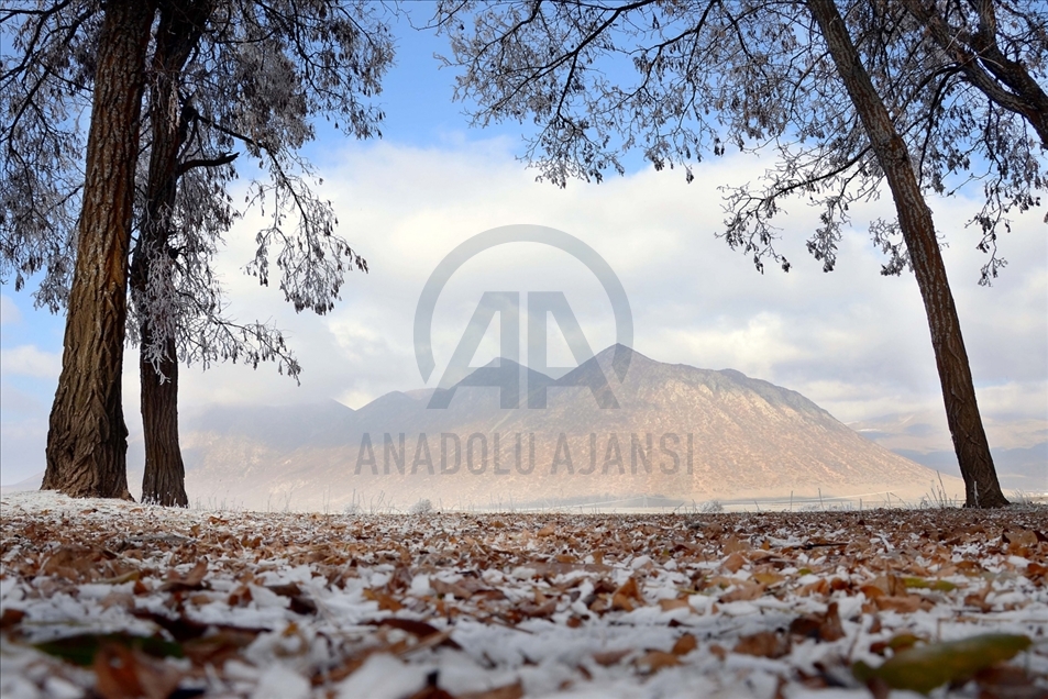 Hielo y escarcha cubren algunas plantas y árboles en la provincia turca de Bitlis