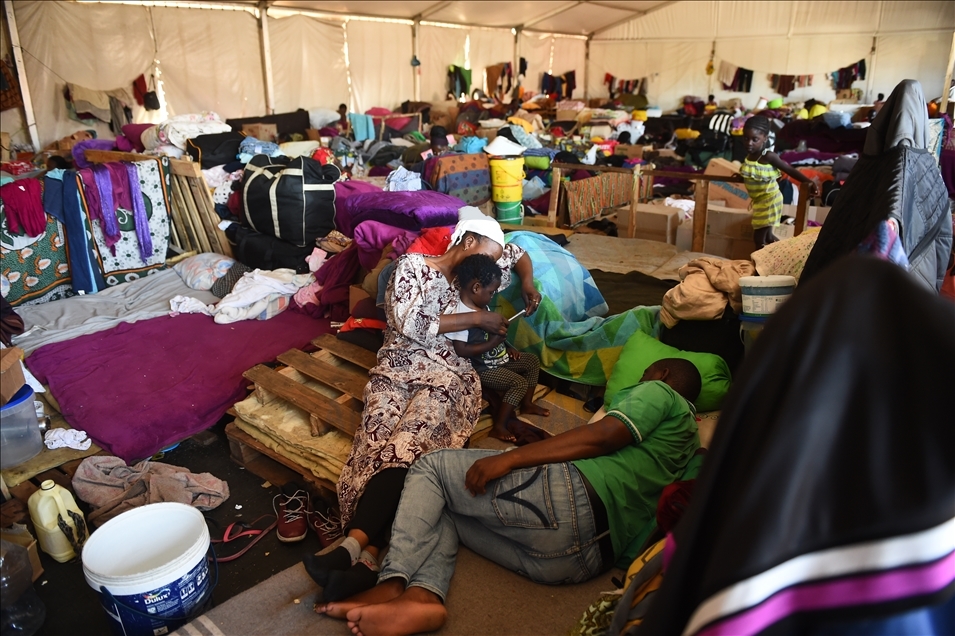 Popullsia globale e emigrantëve është trefishuar në 50 vite