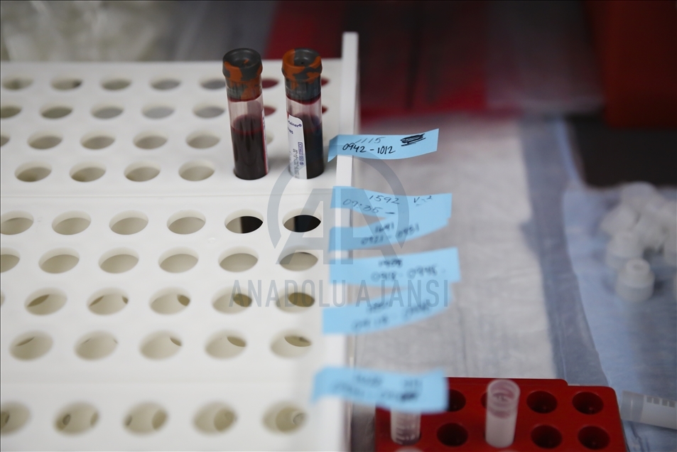 ABD'de Pfizer'in Kovid-19 aşılarının dağıtımına devam ediliyor