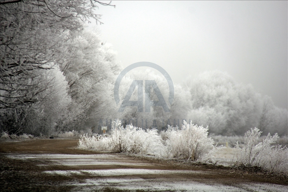 Frost covers plants in Turkey's Sivas