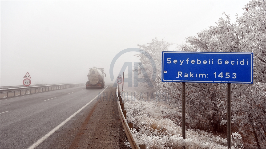 Sivas'ta kırağı tutan bitkiler ve sis görsel şölen sundu