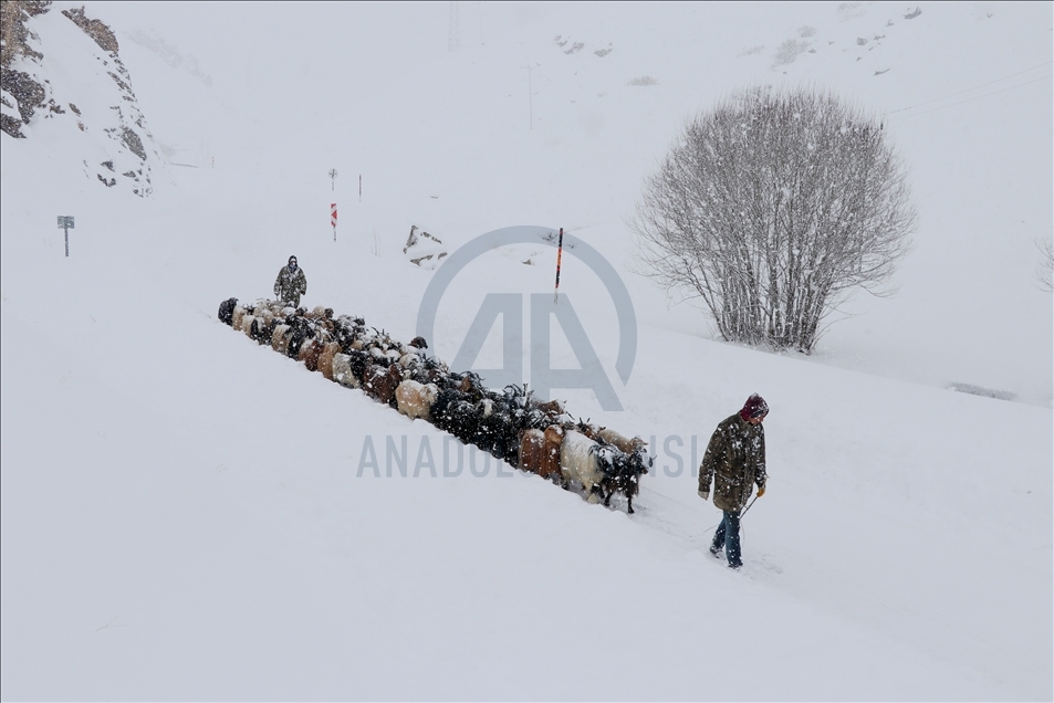 Van'da etkili olan kar nedeniyle vatandaşlar zor anlar yaşadı