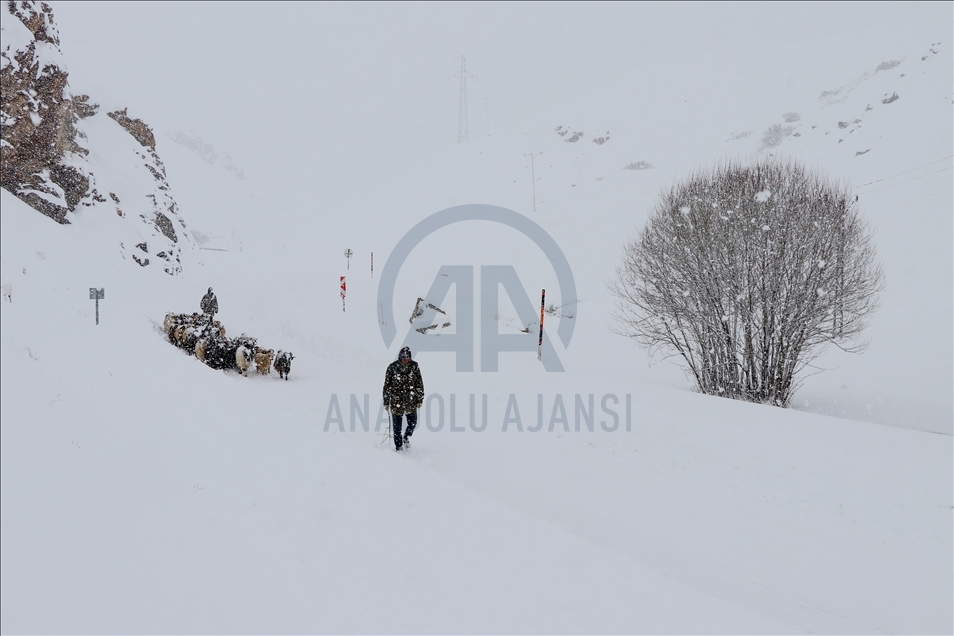 Van'da etkili olan kar nedeniyle vatandaşlar zor anlar yaşadı