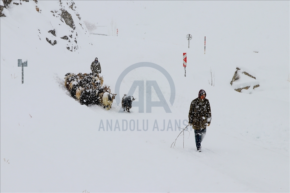 Van'da etkili olan kar nedeniyle vatandaşlar zor anlar yaşadı