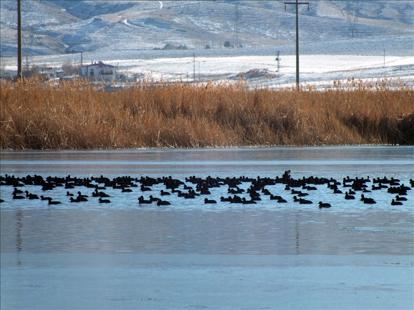 Sivas'ta Ulaş Gölü'nün yüzeyi buz tuttu