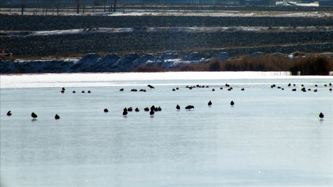 Sivas'ta Ulaş Gölü'nün yüzeyi buz tuttu