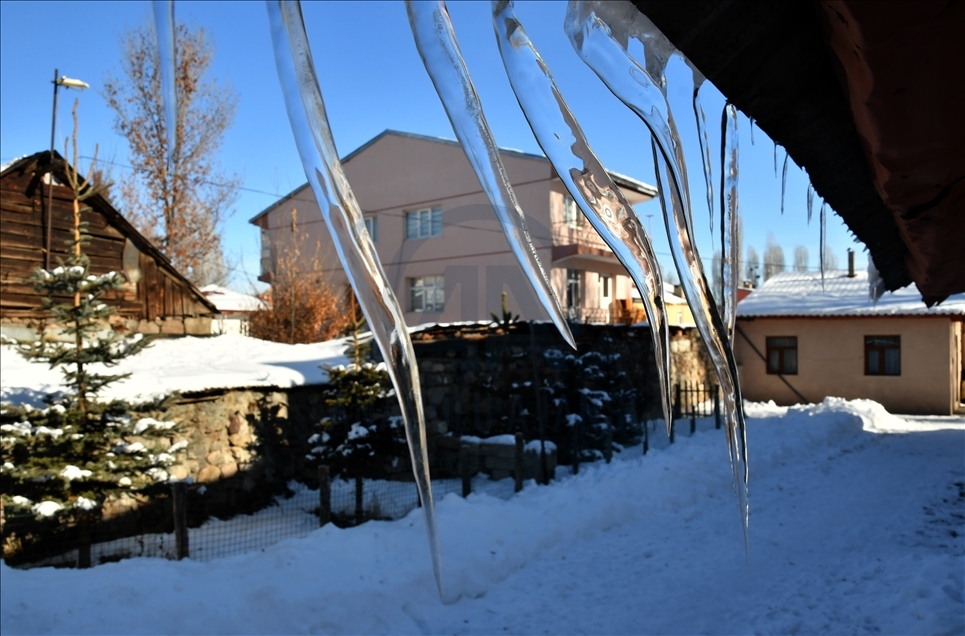 Kars'ta soğuk hava