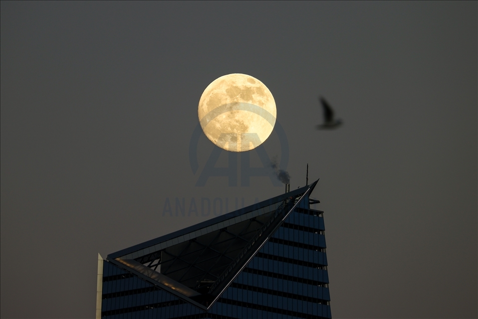 Full Moon over the Edge in NYC