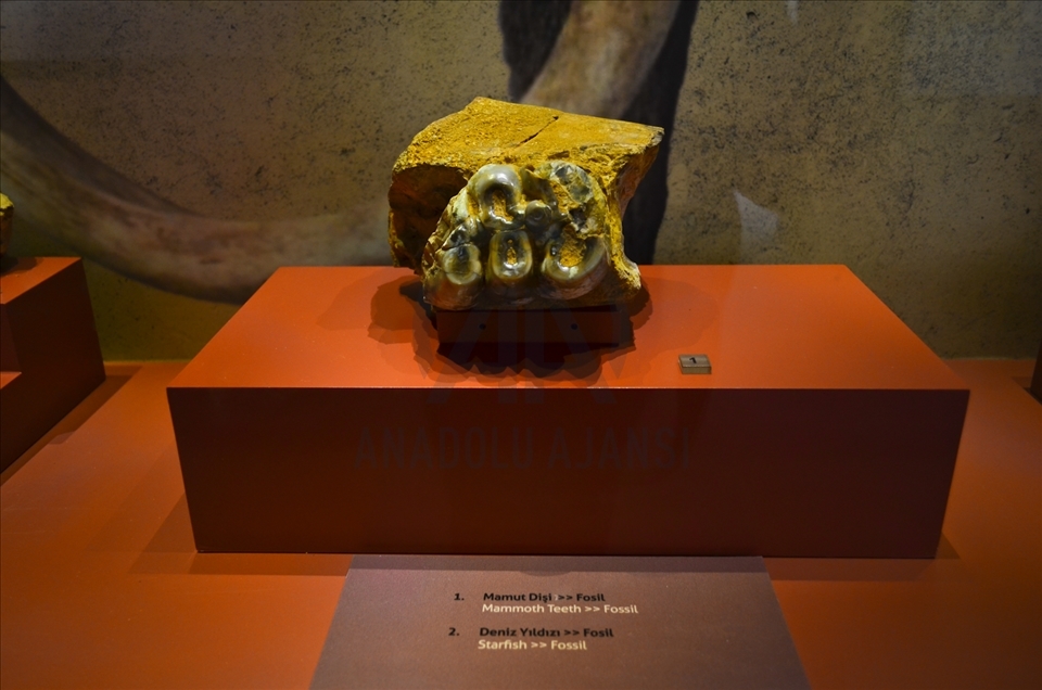 Mersin'de müzeye dönüştürülen eski adliye binası tarihe ışık tutuyor