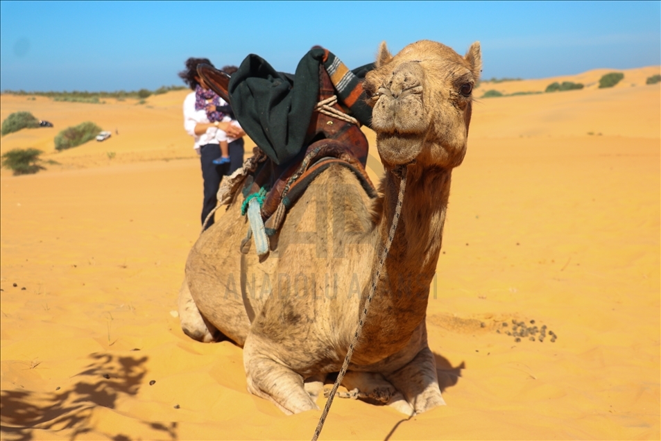 Mini pustinja Lompoul u Senegalu nudi nezaboravno iskustvo