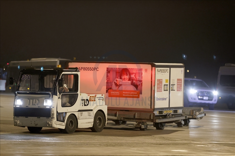First batch of COVID-19 vaccines arrives in Turkey