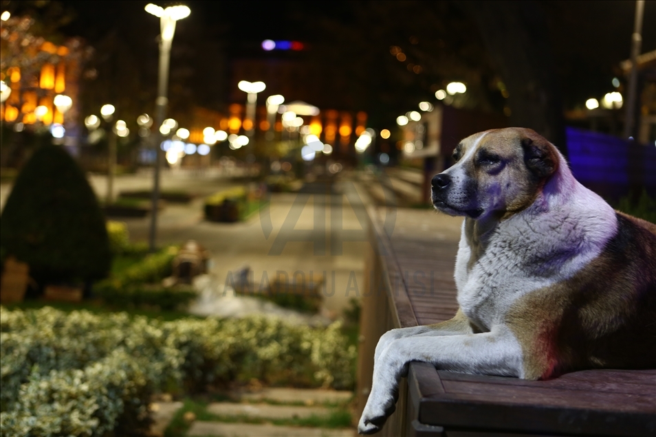 Trabzon'da cadde ve sokaklar boş kaldı