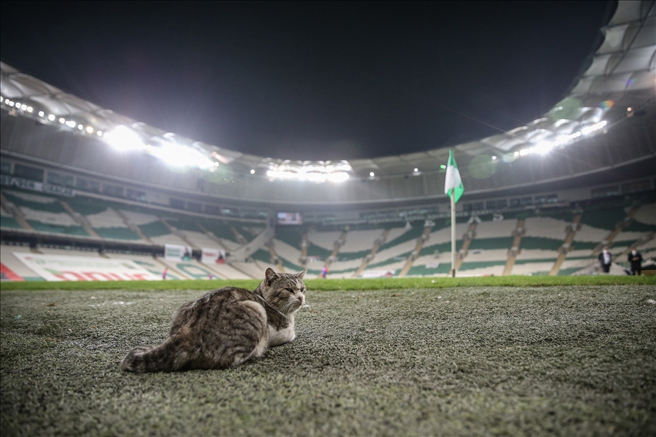 Bursaspor - Eskişehirspor