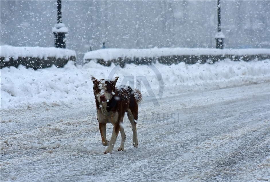 Severe weather warning amid snowfall in Kashmir