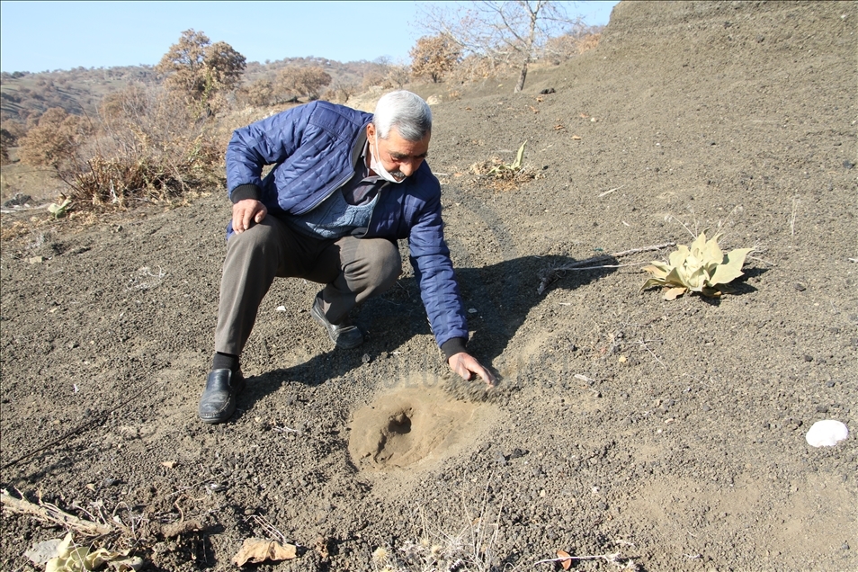 Manisa'daki jeopark alanında ayak izi ve küllerin geçmişi araştırıldı