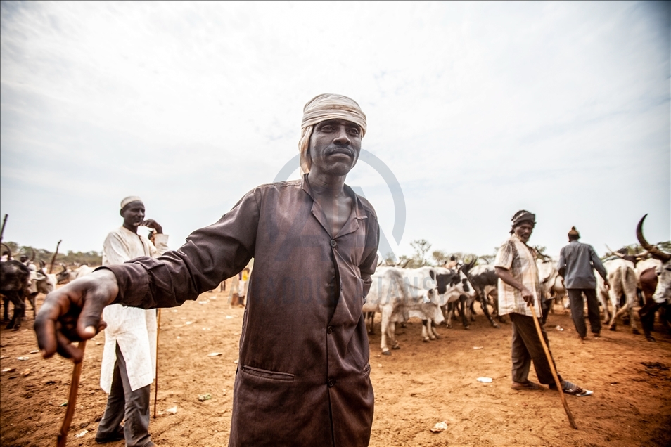 Vida cotidiana de los pastores fulani en la República Centroafricana