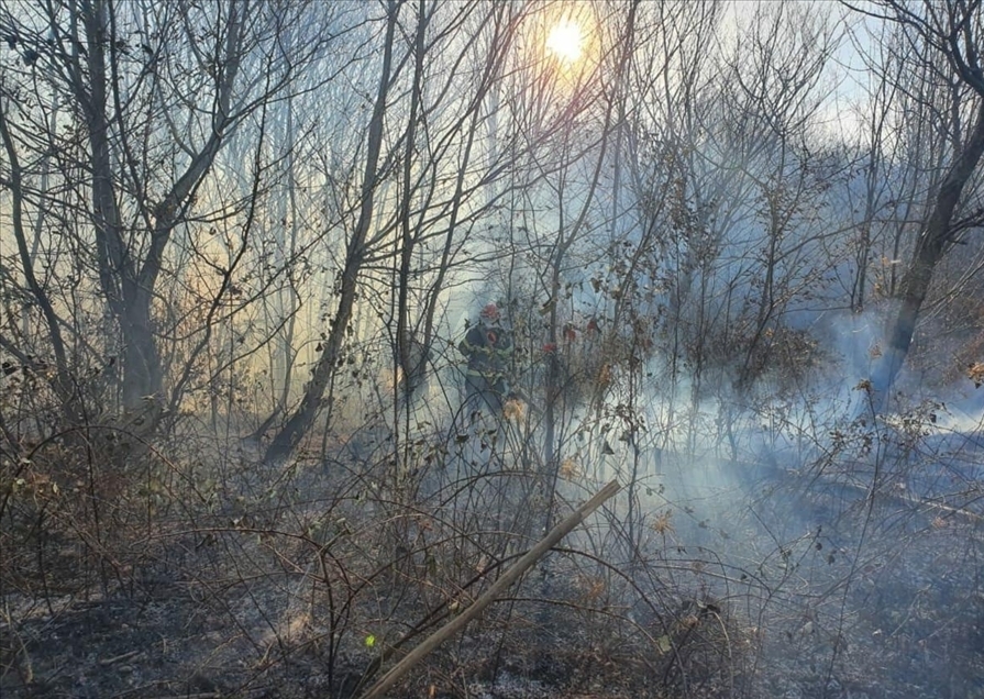 В Грузии за сутки зафиксировано 234 лесных пожара