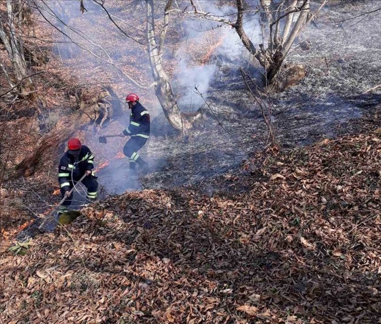 В Грузии за сутки зафиксировано 234 лесных пожара