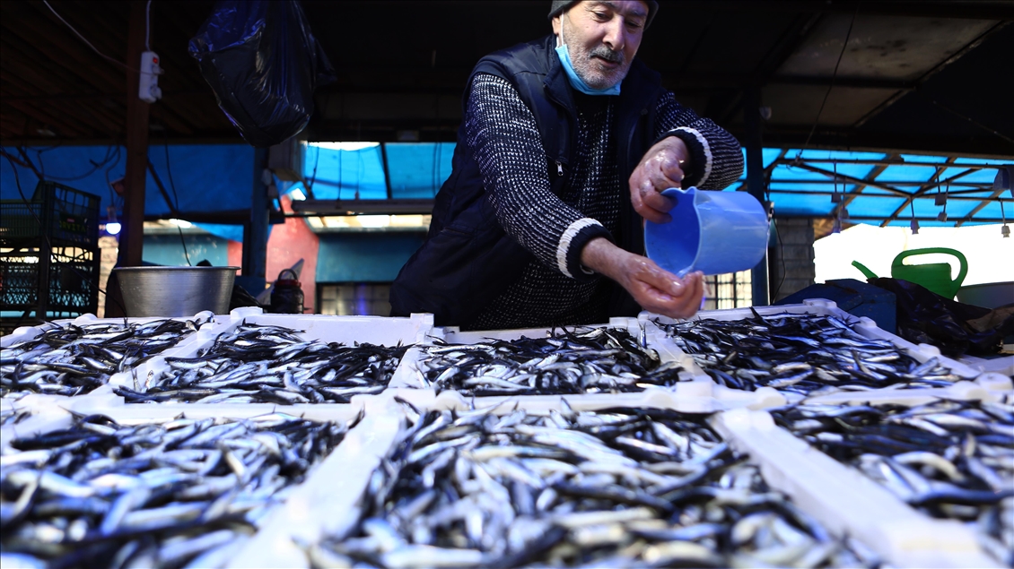 Karadenizli balıkçılar hamsi avının kısmi olarak durdurulmasından memnun