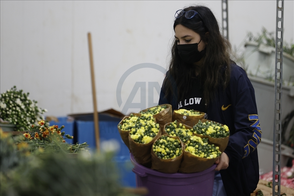 Турецкий экспорт цветочной продукции достиг $107 млн