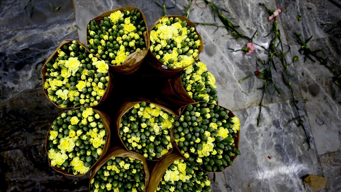 Турецкий экспорт цветочной продукции достиг $107 млн