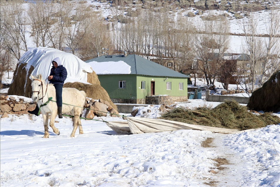 Ağrı'nın dağ köylerindeki besicilerin zorlu kış mesaisi