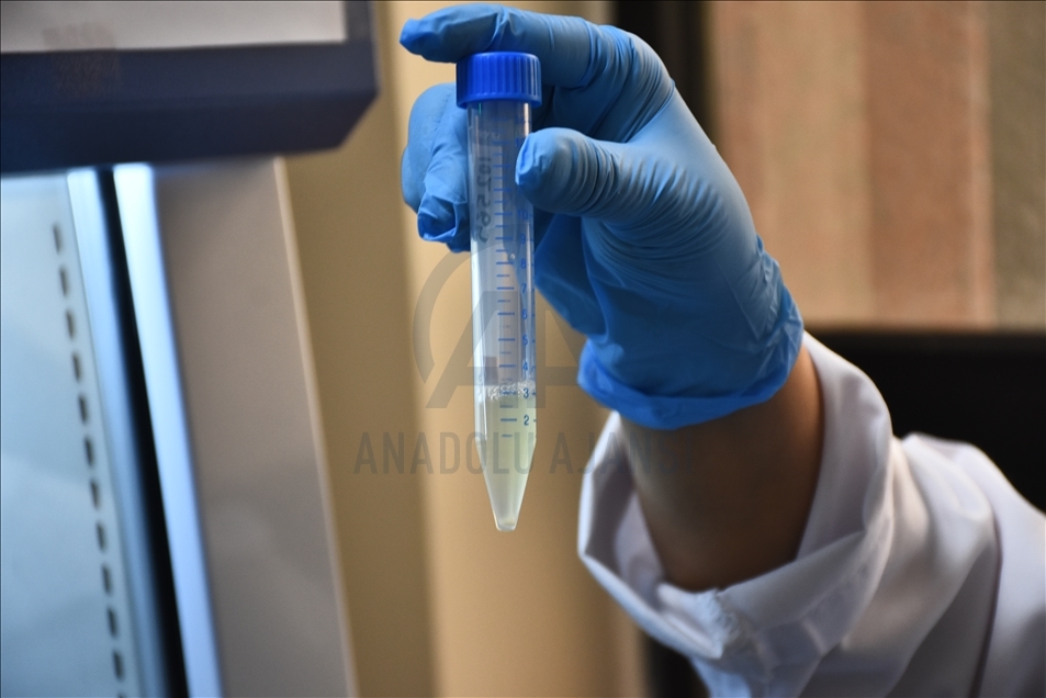 Turquía lanzará su vacuna contra la COVID-19 entre junio y agosto