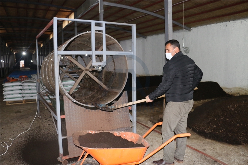 Dest ji zêrfiroşiyê berda bû hilberînerê gubreya kurman