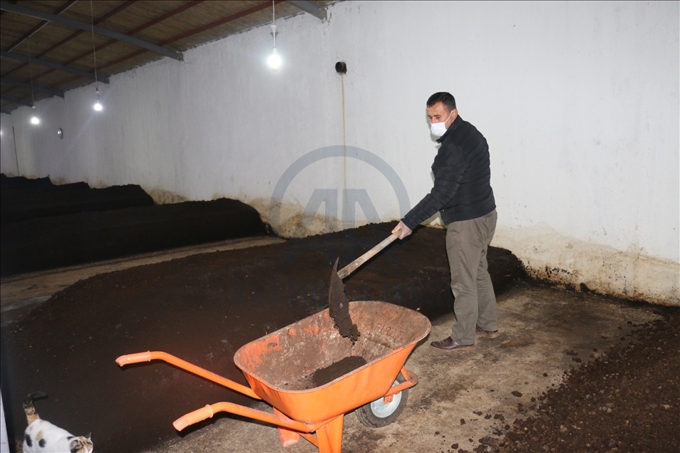 Dest ji zêrfiroşiyê berda bû hilberînerê gubreya kurman
