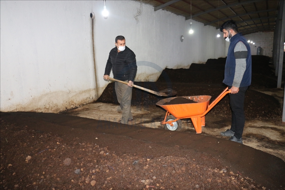 Dest ji zêrfiroşiyê berda bû hilberînerê gubreya kurman
