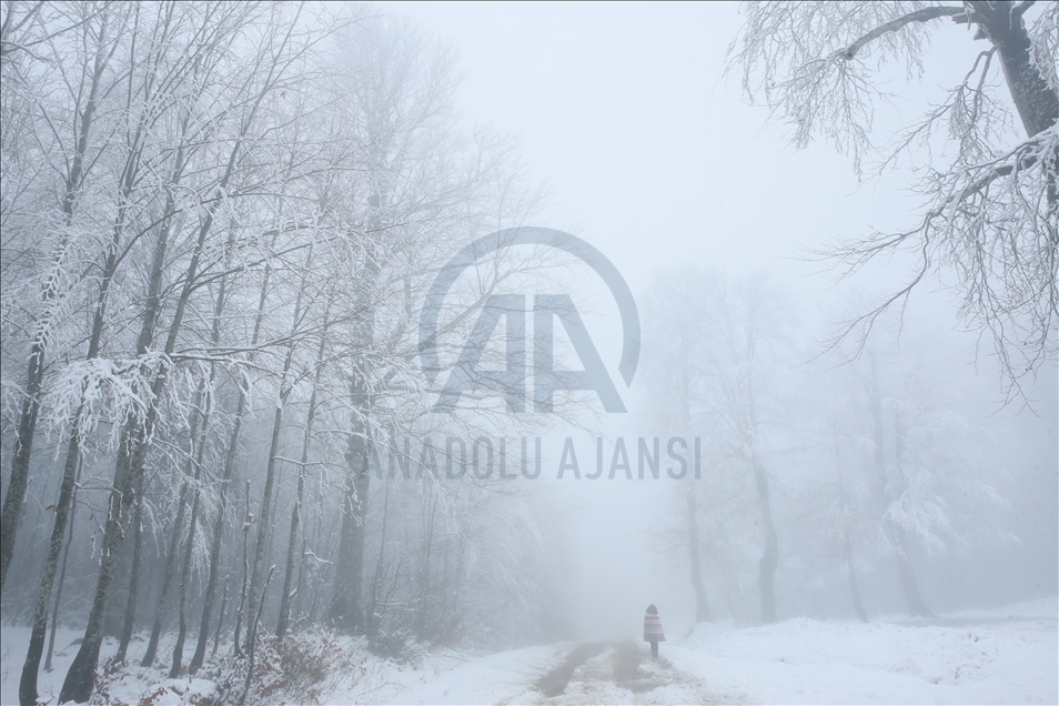 Kartepe'de kar etkili oldu