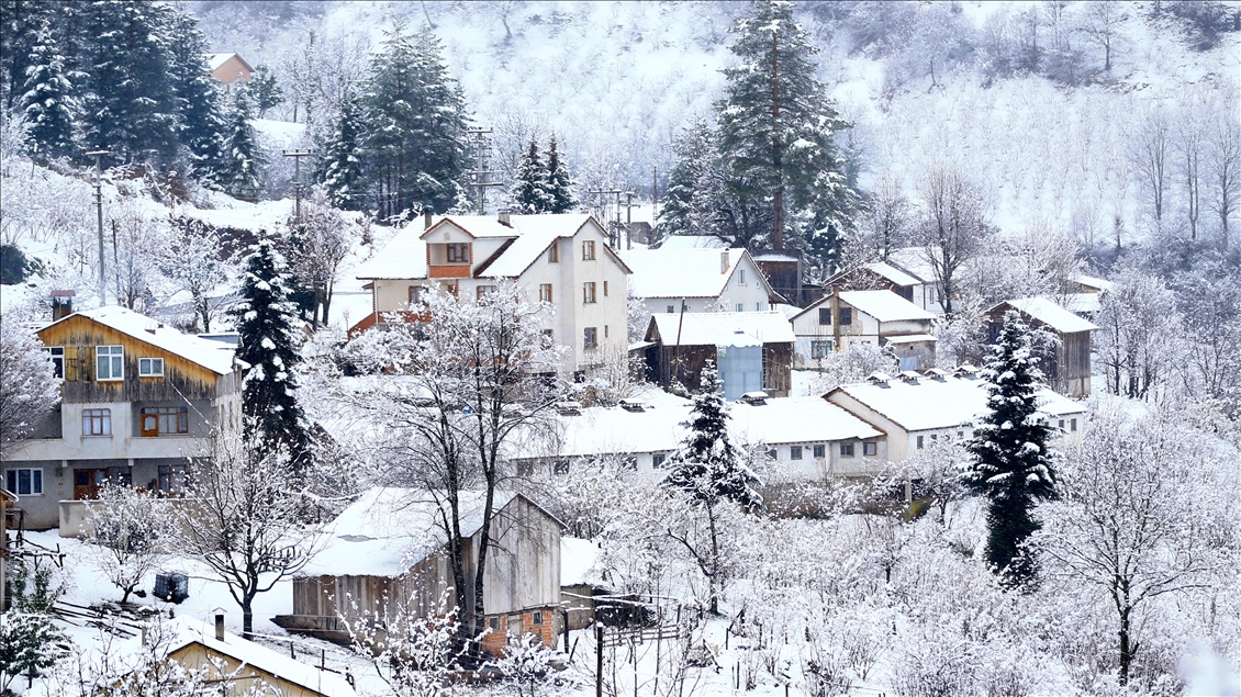Snowfall in Turkey's Sakarya