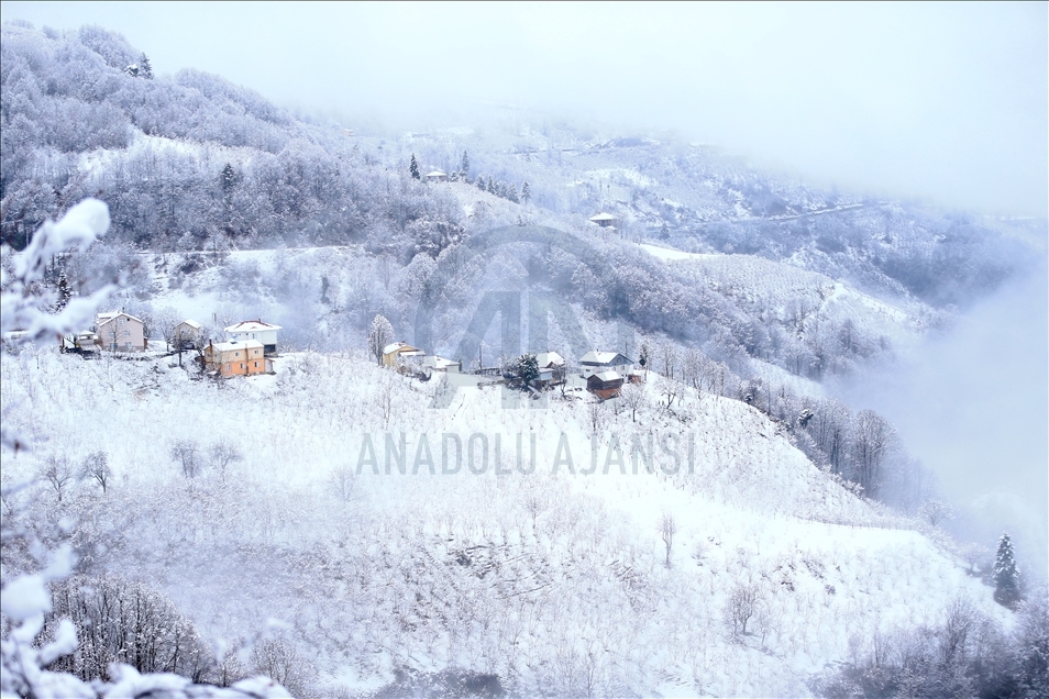 Snowfall in Turkey's Sakarya
