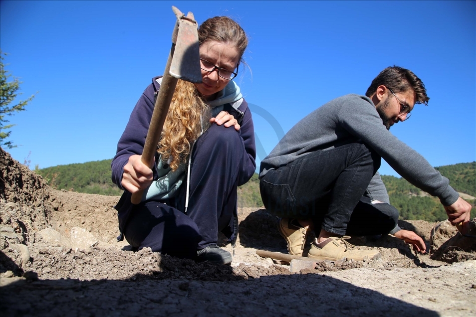 "كاهن تبه" .. آثار تكشف عن أسرار العصر الحجري في تركيا