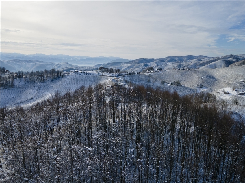 Sakarya'da Çam Dağı'nda kar yağışı ekili oldu