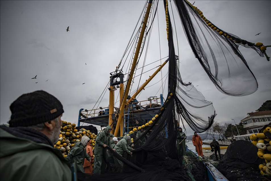 Balıkçı teknelerinin "Boğaz" mesaisi sürüyor