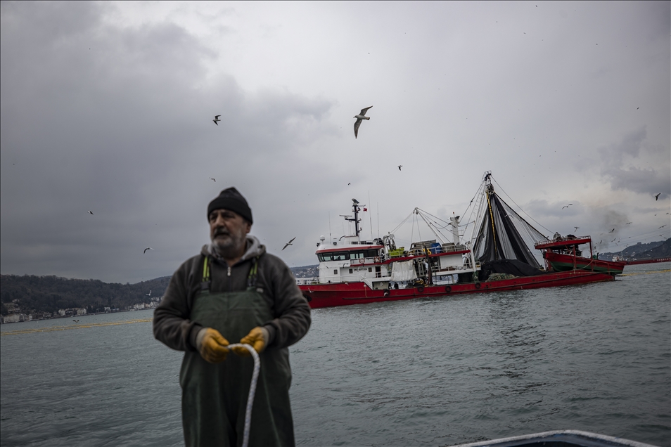 Balıkçı teknelerinin "Boğaz" mesaisi sürüyor