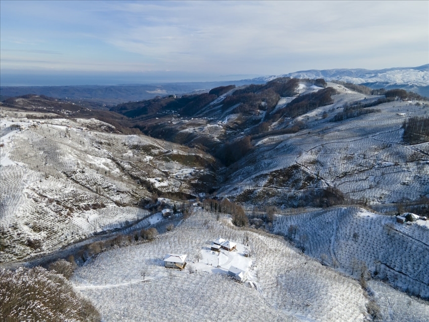 Sakarya'da Çam Dağı'nda kar yağışı ekili oldu