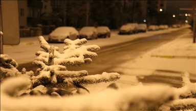 Erzurum ve Erzincan'da kar yağışı etkili oldu