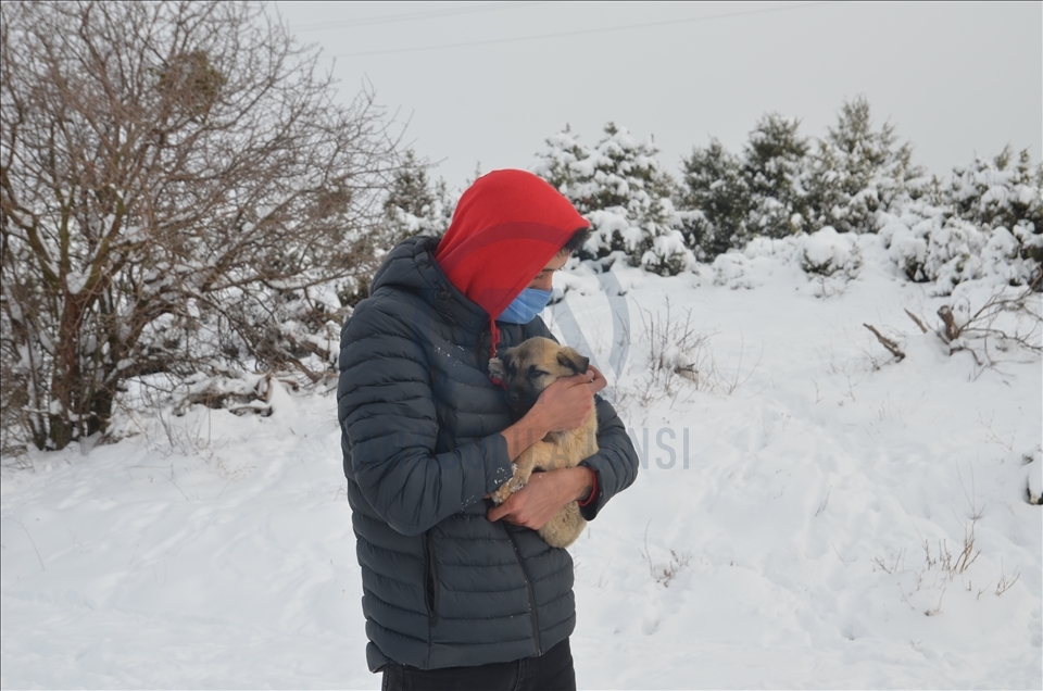 Kütahya'da hayvanseverler karda yiyecek bulmakta güçlük çeken sokak köpeklerini besledi