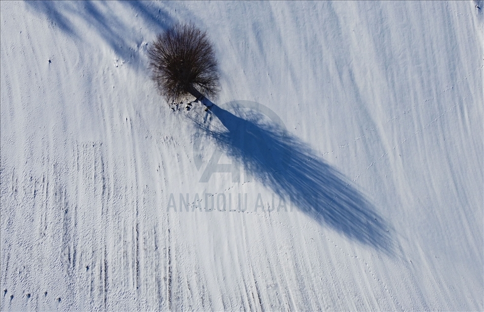 Snowfall in Ankara