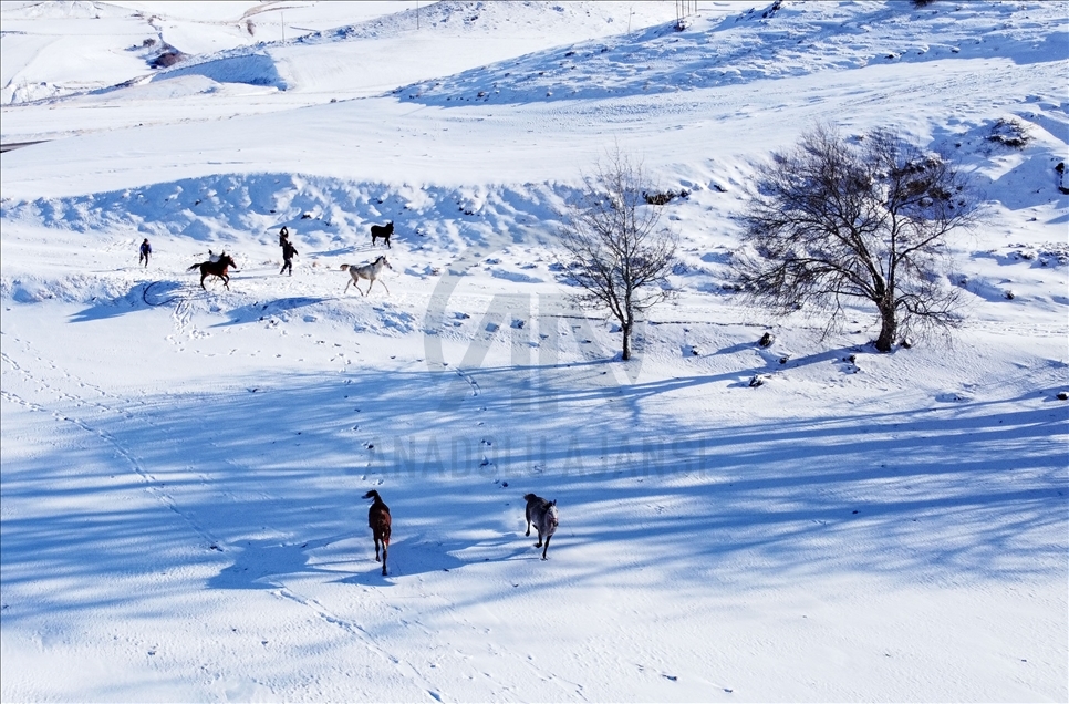 Snowfall in Ankara