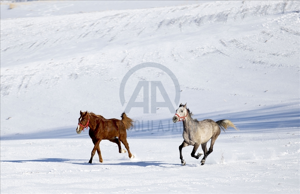 Snowfall in Ankara