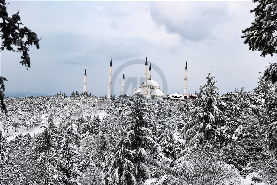 В Стамбуле начался снегопад
