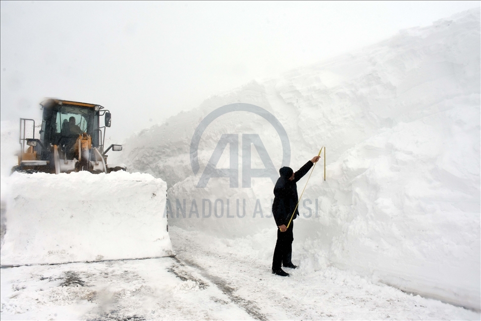 Snowfall in Turkey's Mus