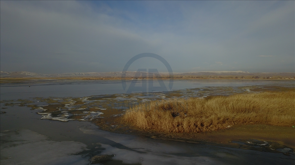 Qubeqazên weqoke yên ku ji Sîbîryayê tên li ser Gola Wanê datînin