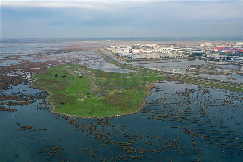 Turquie : Les oiseaux du « Delta de Gediz » sont recensés